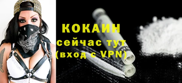 крисы Новокубанск