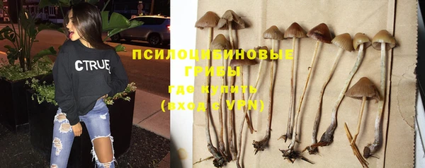 соль ск Абаза